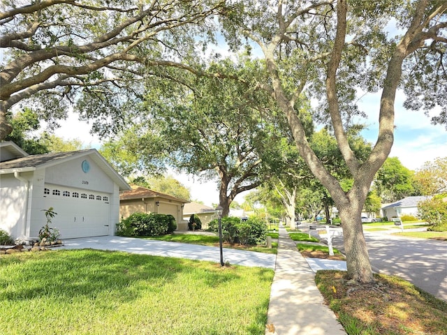 3509 Oak Lake Dr, Palm Harbor, FL 34684 - view of green lawn with a garage and driveway