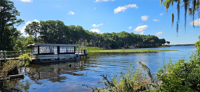 3509 Oak Lake Dr, Palm Harbor, FL 34684 - dock featuring a water view and a view of trees