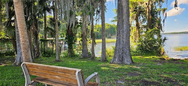 3509 Oak Lake Dr, Palm Harbor, FL 34684 - water view
