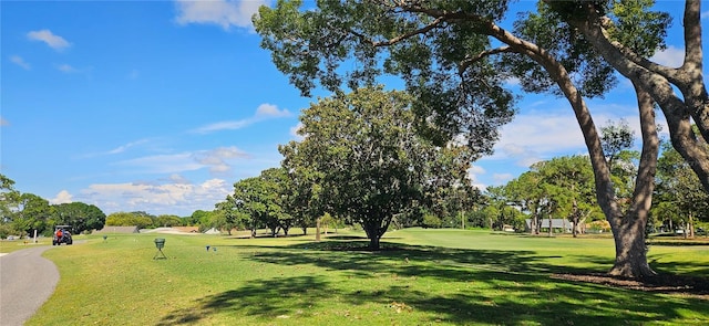 3509 Oak Lake Dr, Palm Harbor, FL 34684 - view of property's community featuring a lawn, view of golf course, and view of wooded area