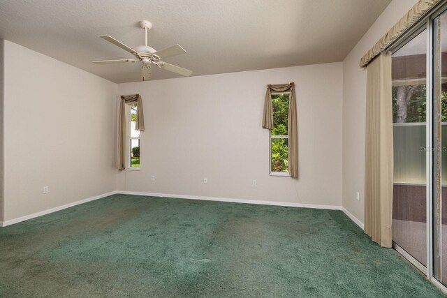 16 Dahoon Ct N, Homosassa, FL 34446 - photo 17