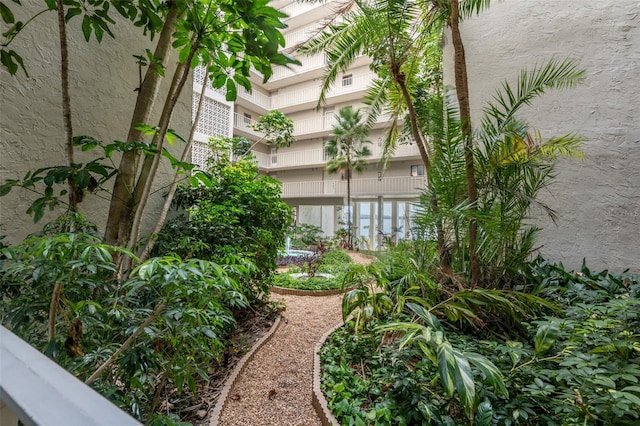 500 N Osceola Ave Unit 811, Clearwater, FL 33755 - view of yard
