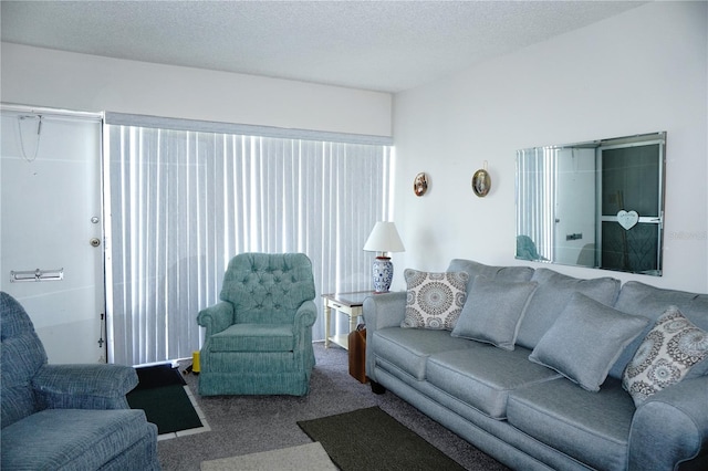 4324 Tahitian Gardens Cir Unit J, Holiday, FL 34691 - view of carpeted living room