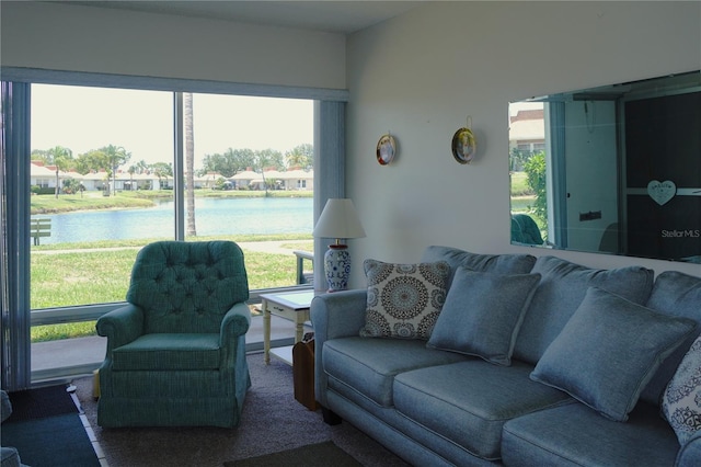 4324 Tahitian Gardens Cir Unit J, Holiday, FL 34691 - living room with a water view and carpet