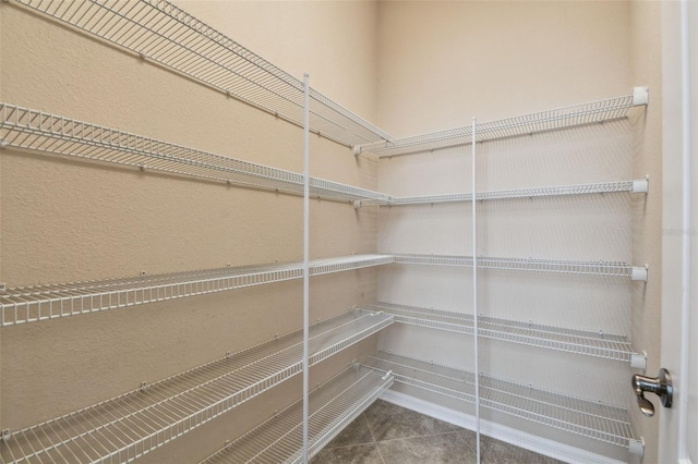 4089 Windcrest Dr, Wesley Chapel, FL 33544 - view of pantry