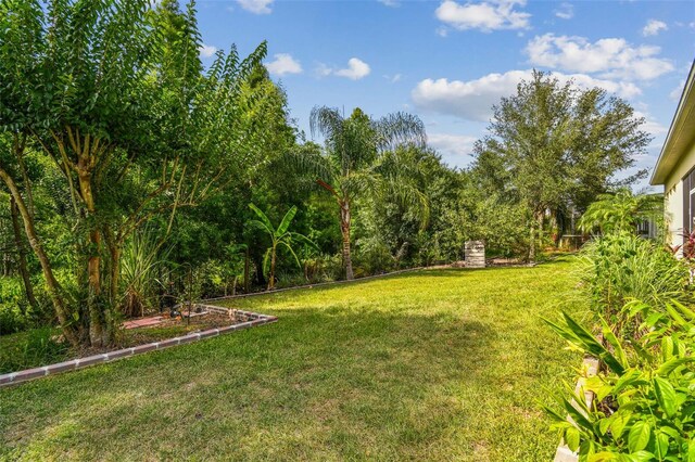 4089 Windcrest Dr, Wesley Chapel, FL 33544 - view of green lawn