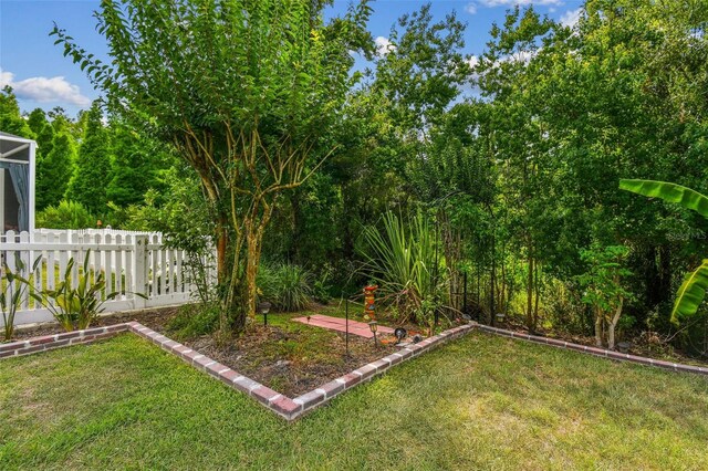 4089 Windcrest Dr, Wesley Chapel, FL 33544 - view of yard