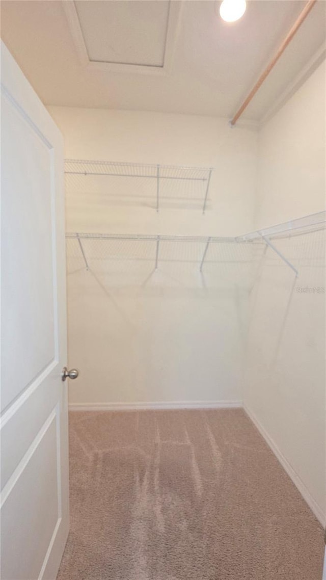 13111 Pepper Stem St, Spring Hill, FL 34609 - walk in closet with carpet