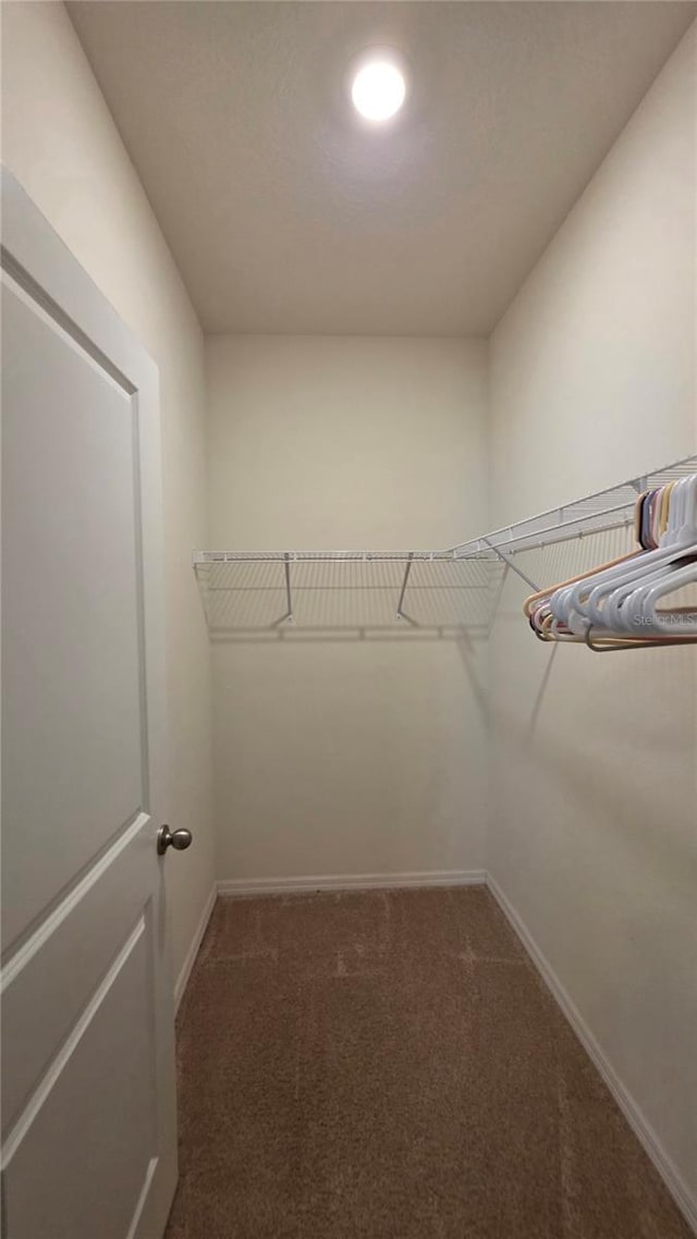13111 Pepper Stem St, Spring Hill, FL 34609 - spacious closet with dark colored carpet