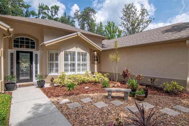 3821 Turkey Oak Dr, Valrico, FL 33596 - photo 3