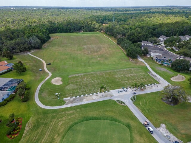 3821 Turkey Oak Dr, Valrico, FL 33596 - photo 46