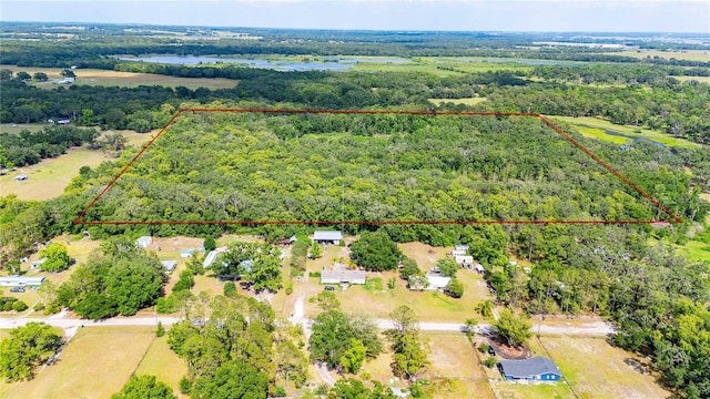 Bradley Dr, Dade City, FL 33525 - photo 2