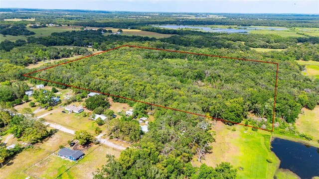 Bradley Dr, Dade City, FL 33525 - photo 3