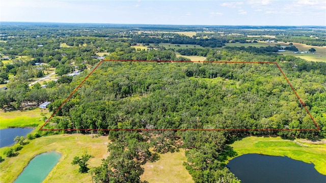 Bradley Dr, Dade City, FL 33525 - photo 5