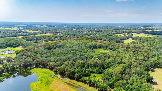 Bradley Dr, Dade City, FL 33525 - photo 7