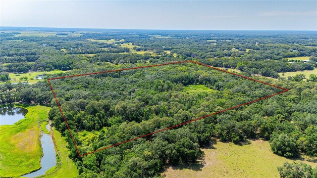 Bradley Dr, Dade City, FL 33525 - photo 8