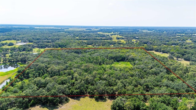 Bradley Dr, Dade City, FL 33525 - photo 9