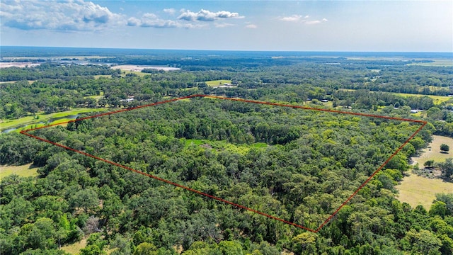 Bradley Dr, Dade City, FL 33525 - photo 10