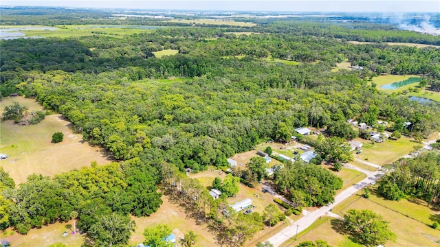 Bradley Dr, Dade City, FL 33525 - photo 11