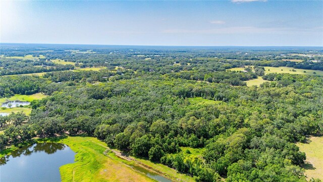 Bradley Dr, Dade City, FL 33525 - photo 18