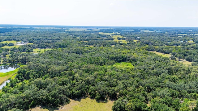 Bradley Dr, Dade City, FL 33525 - photo 20
