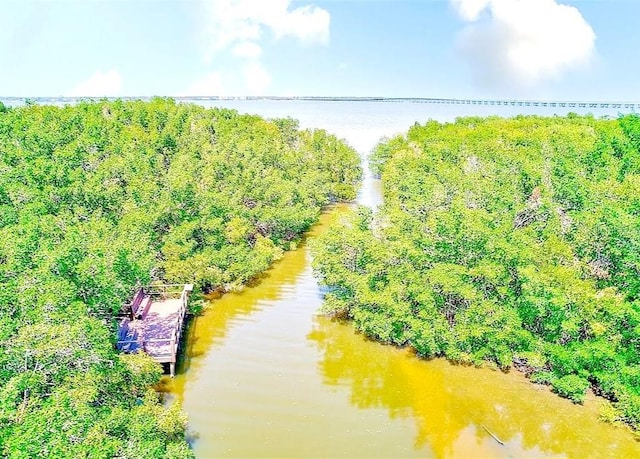 2935 Lichen Ln Unit D, Clearwater, FL 33760 - drone / aerial view of a large body of water
