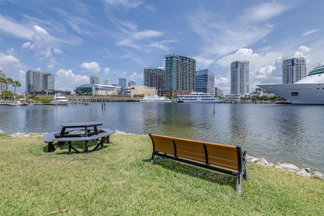 731 Cruise View Dr, Tampa, FL 33602 - water view with skyline