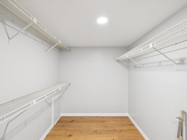 3062 Eastland Blvd Unit 405, Clearwater, FL 33761 - walk in closet with light wood-type flooring