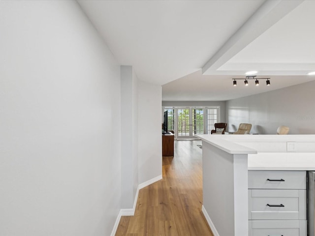 3062 Eastland Blvd Unit 405, Clearwater, FL 33761 - corridor featuring light wood-style flooring, baseboards, and track lighting