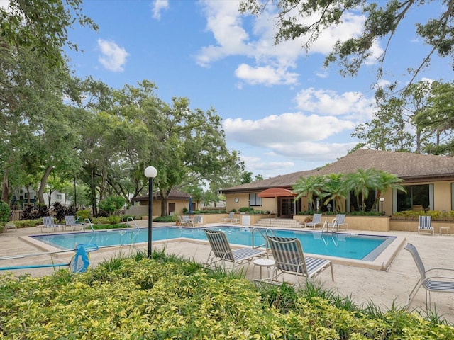 3062 Eastland Blvd Unit 405, Clearwater, FL 33761 - community pool with a patio