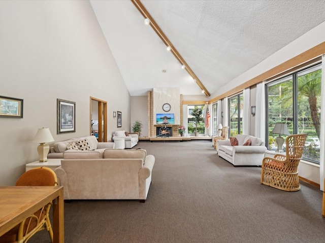 3062 Eastland Blvd Unit 405, Clearwater, FL 33761 - carpeted living room featuring rail lighting, high vaulted ceiling, and a textured ceiling