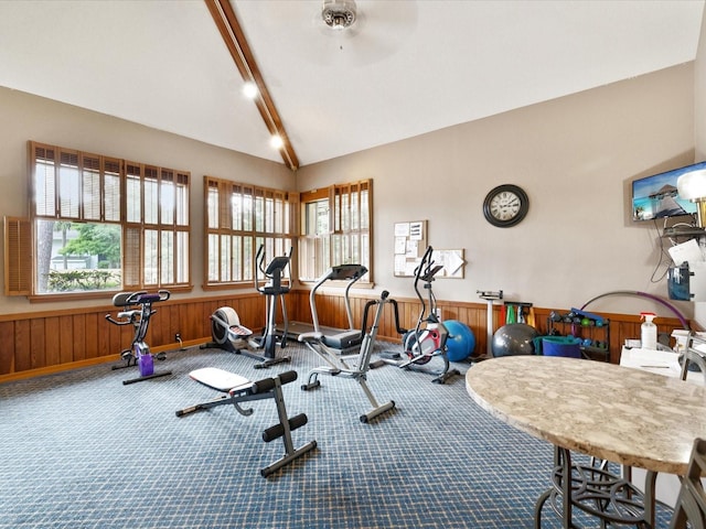 3062 Eastland Blvd Unit 405, Clearwater, FL 33761 - workout area featuring carpet, wainscoting, lofted ceiling, a ceiling fan, and wood walls