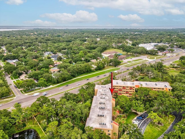 3062 Eastland Blvd Unit 405, Clearwater, FL 33761 - bird's eye view