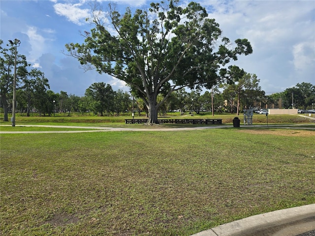 7920 52nd St N, Pinellas Park, FL 33781 - surrounding community with a lawn