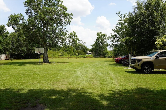 12008 Rose Ln, Riverview, FL 33569 - view of green lawn featuring view of wooded area
