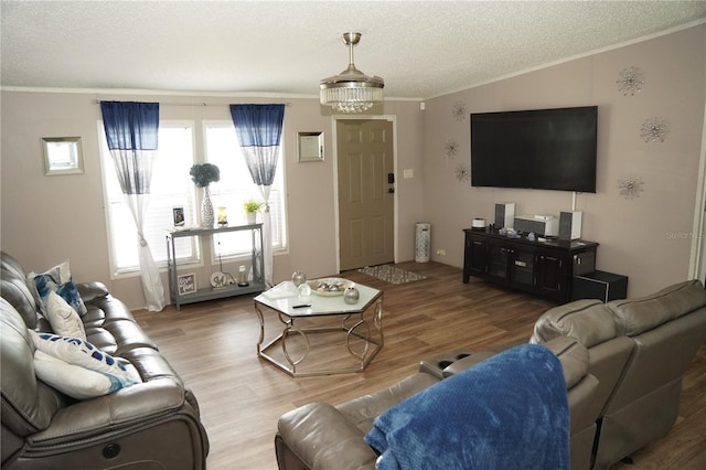 12008 Rose Ln, Riverview, FL 33569 - living room with crown molding, a textured ceiling, and wood finished floors