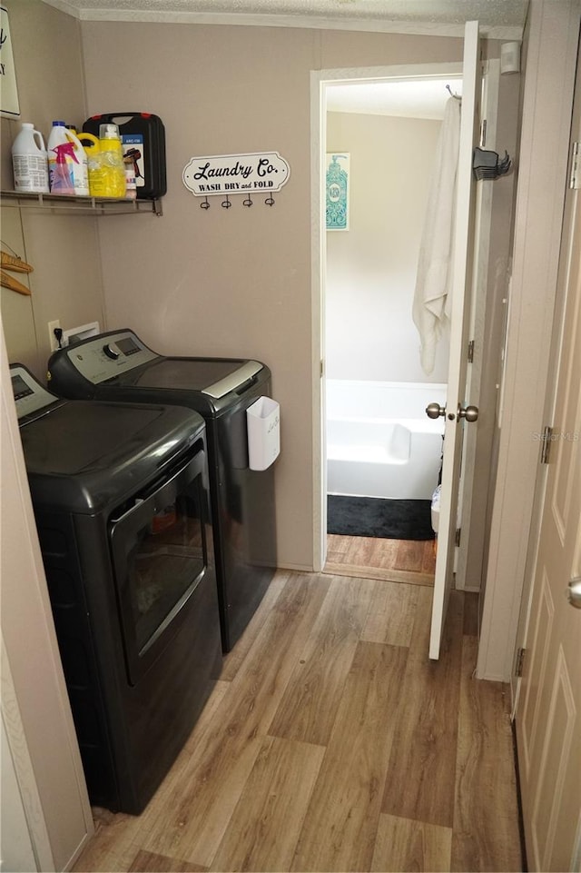 12008 Rose Ln, Riverview, FL 33569 - washroom with washing machine and dryer, light wood finished floors, and crown molding