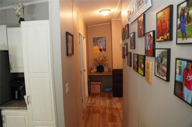 12008 Rose Ln, Riverview, FL 33569 - corridor with a textured ceiling, wood finished floors, and ornamental molding