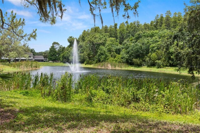 5100 Burchette Rd Unit 2702, Tampa, FL 33647 - water view