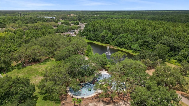 5100 Burchette Rd Unit 2702, Tampa, FL 33647 - bird's eye view of a forest and a nearby body of water