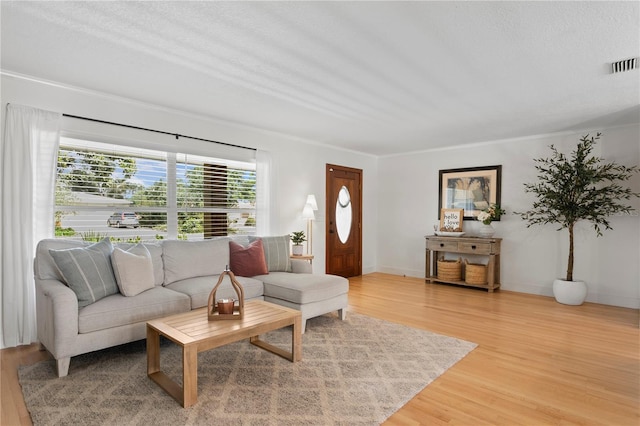 125 Live Oak Ln, Largo, FL 33770 - living area with light wood finished floors and baseboards
