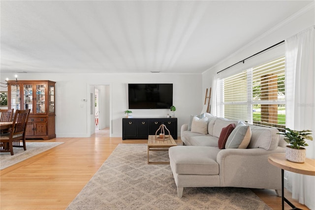 125 Live Oak Ln, Largo, FL 33770 - living room featuring light wood finished floors, crown molding, and baseboards