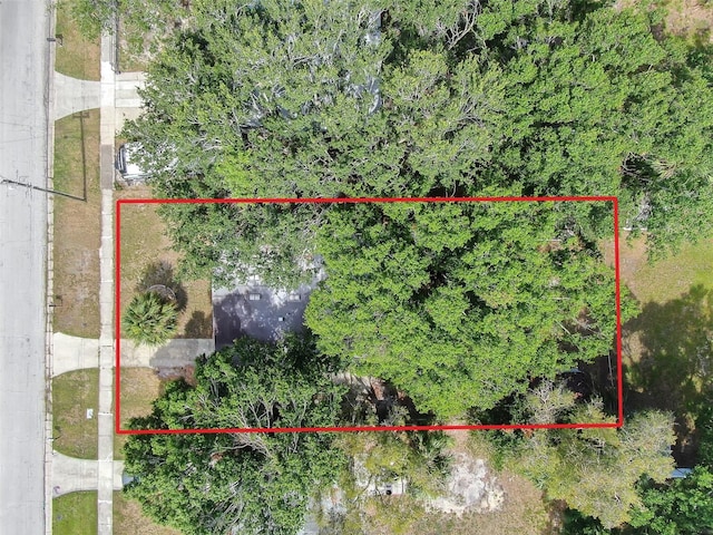 4425 W Bay Ave, Tampa, FL 33616 - photo 22