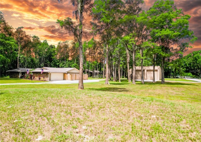 1025 Reading Rd, Lutz, FL 33558 - yard at dusk with driveway, a yard, view of scattered trees, and a detached garage