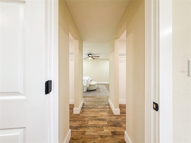 1025 Reading Rd, Lutz, FL 33558 - hallway featuring dark wood-style floors and baseboards