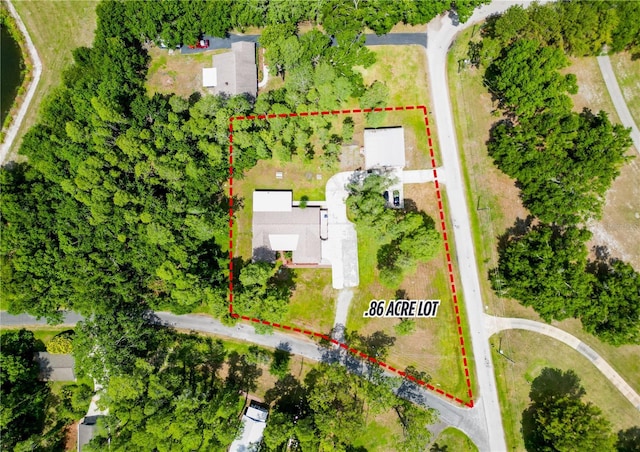 1025 Reading Rd, Lutz, FL 33558 - aerial view of property's location with property parcel outlined
