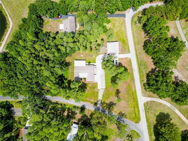 1025 Reading Rd, Lutz, FL 33558 - aerial view