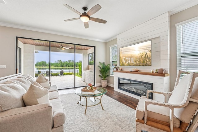 19191 Pease Pl, Lutz, FL 33558 - living area featuring a ceiling fan, wood finished floors, ornamental molding, plenty of natural light, and a glass covered fireplace