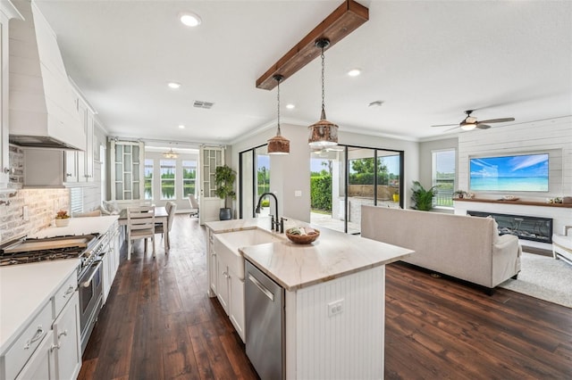 19191 Pease Pl, Lutz, FL 33558 - kitchen with stainless steel appliances, a sink, open floor plan, dark wood finished floors, and ceiling fan