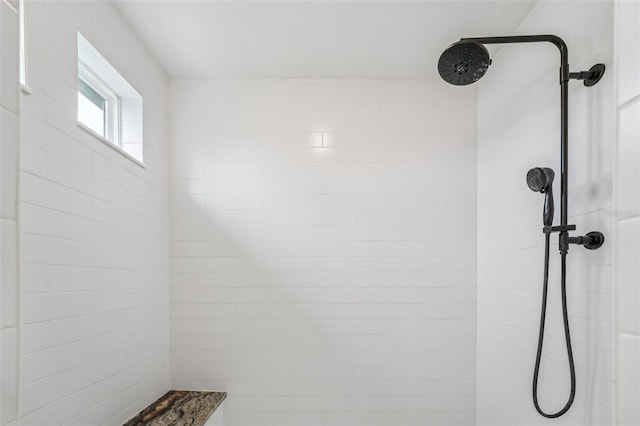 19191 Pease Pl, Lutz, FL 33558 - bathroom featuring tiled shower